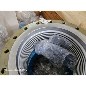 Jenbacher Compensator