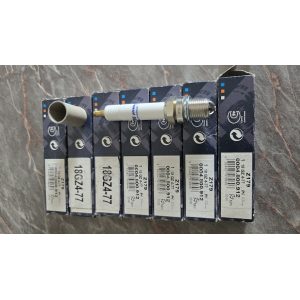 Beru Spark Plug