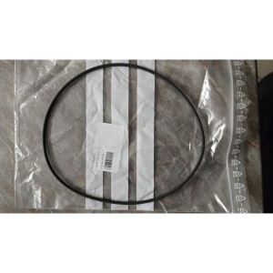 Jenbacher O-RING