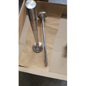 Bergen Inlet Valve