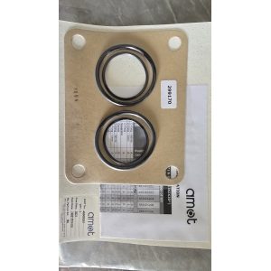 Amot Gasket set